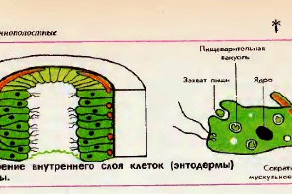 Магазин наркоты