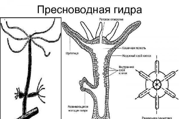 Ссылка на кракен vtor run